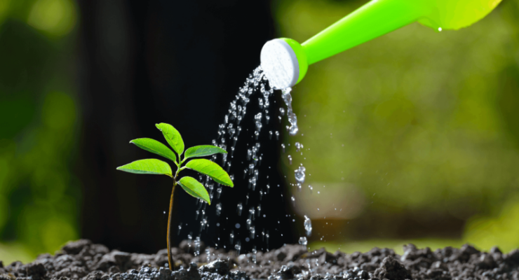 Updated Blog Post Getting Started with Drip: Nurturing Driver Relationships