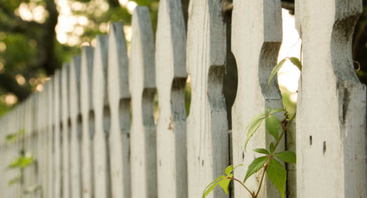 Updated Blog Post Privacy Policies: What You Need to Know